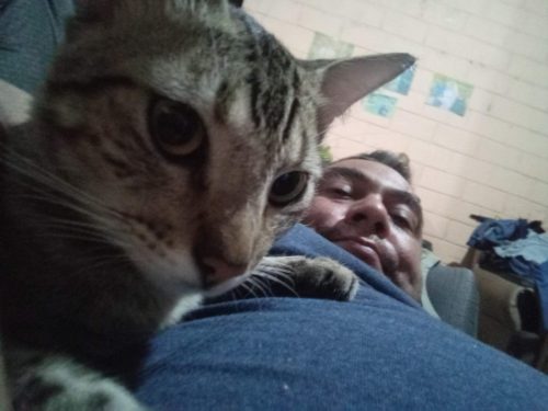 {capture_mode:AutoModule,faces:[]}