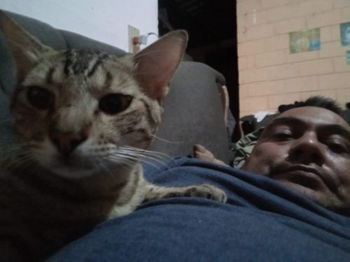 {capture_mode:AutoModule,faces:[]}