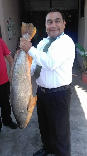 pezcando